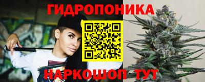 трава Новодвинск